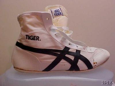 old-tiger-wrestling-i-1